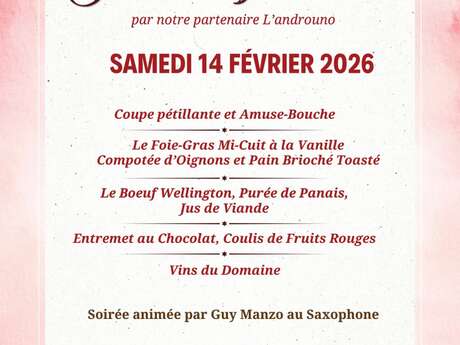 Dîner avec animation musicale