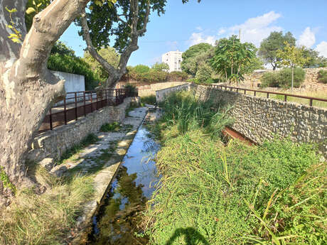 Site archéologique de Tholon