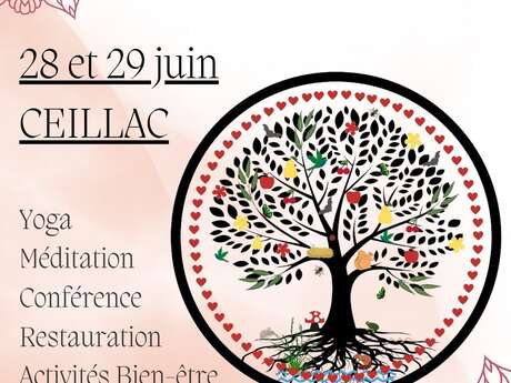 Conférence "Les chakras du coeur et la méditation Heartfullness"