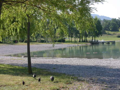 Site de pêche du plan d'eau du Riou