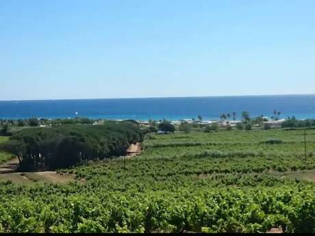 Camping de La Matarane