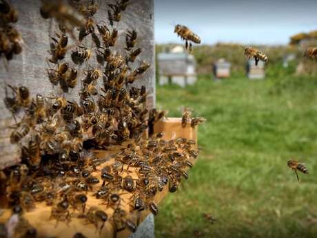 Les douceurs de Rambaud
