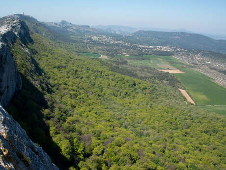 Les Ecosystèmes de la Sainte-Baume