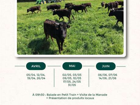 Das Erwachen des Gardian