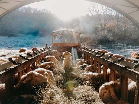 Bergerie de Saint Gens