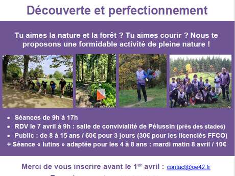 Stage de course d'orientation ouvert à tous