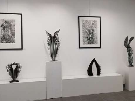 Exposition Arbres et Merveilles- Dialogue féminin