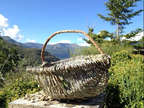 Laboratorio di cesteria rustica - cesti e cestini