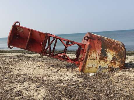 Faro americano varado