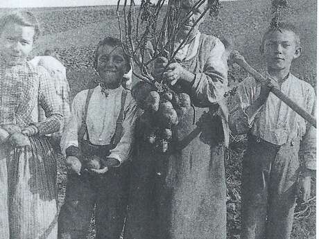 Prendre racines, familles et plantes en exil