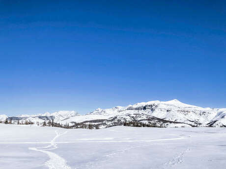 Le Plateau St Jean - N° 406