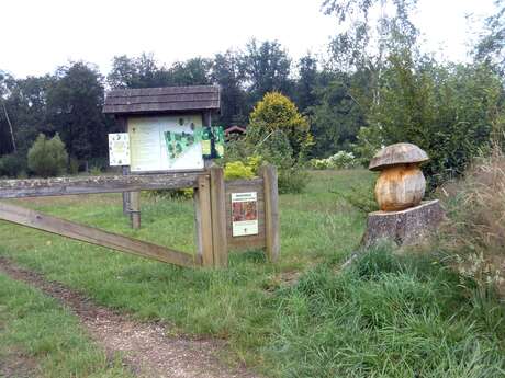 Arboretum d'Étrez