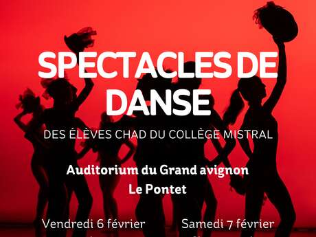 Spectacle de danse de la classe à horaires aménagés du collège Mistral