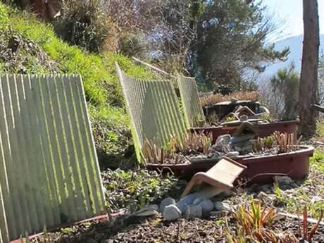 Laboratorio di fitodepurazione - Studio teorico e progettuale