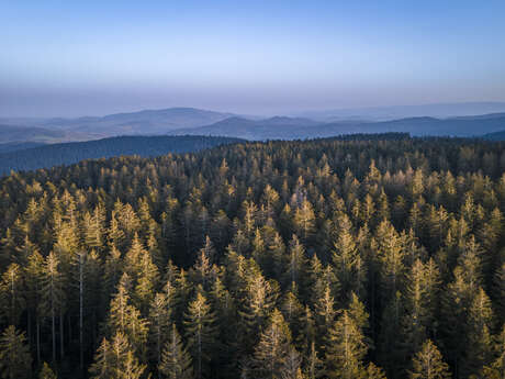 Massif des bois noirs