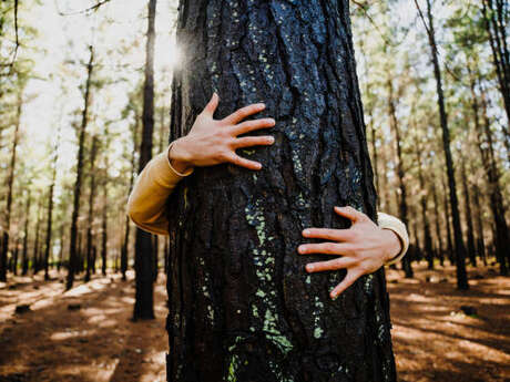 Pause nature et ressourcement