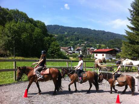 Stages de poney