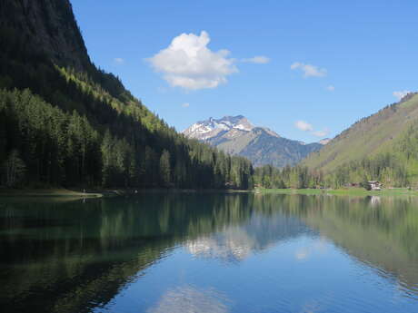 Walking itinerary: from Montriond Lake to Ardent Waterfall