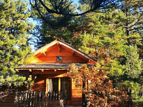 Séjour perché en cabane et spa