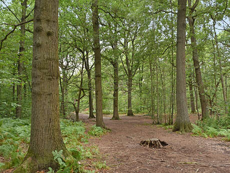 Promenade naturaliste au Trou d'Enfer