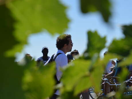 Gastronomisch geführte Radtour, Île de Ré und all ihre Aromen von J&M EVASION