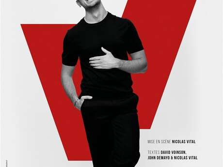 David Voinson