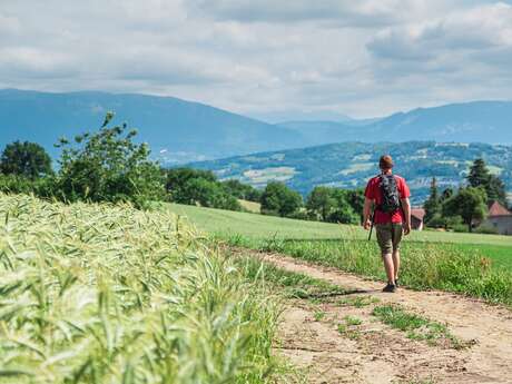 Les collines de l'Albanais : boucle n°1