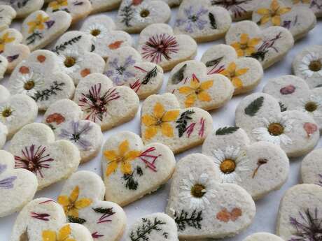 L'Ortillère L'Ortillère