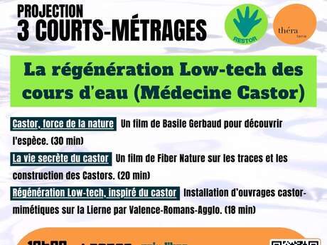 Projection courts-métrages à l'Enclos