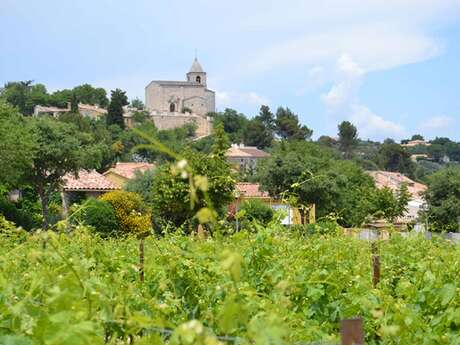 Balade & Découverte - La balade des vignes et des caves