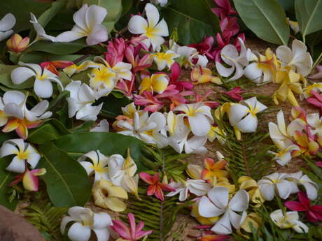 Mahana pae - Te Tiare Tahiti