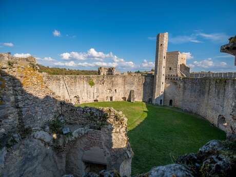 Forteresse de Billy Forteresse de Billy