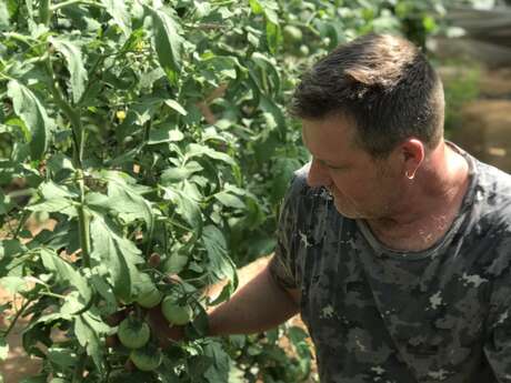 Beneventi fruit and vegetable producer