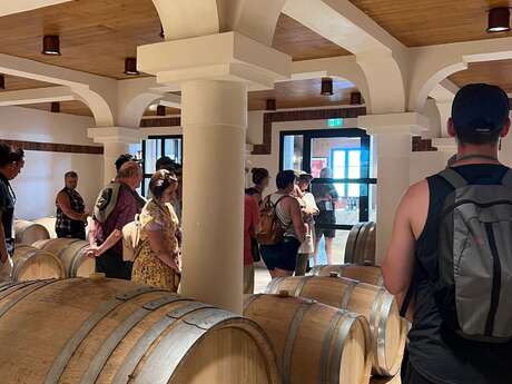 Vertical tasting of red wines