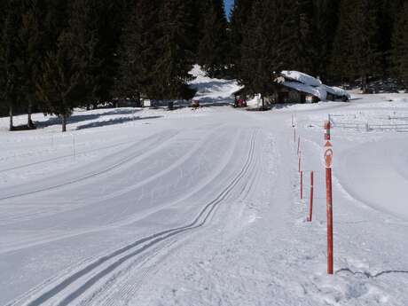 Stage de ski de fond classique - skating