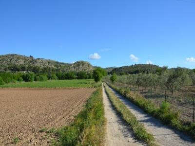 Bouches-du-Rhône en Paysages - Pélissanne, en vélo entre ville et campagne