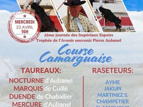 Journée Henri Aubanel