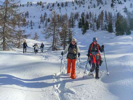 Randonnées Raquettes avec ClubRando06 à Auron