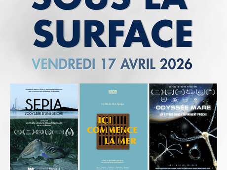 Séance Sous la surface - Festival du Film Nature