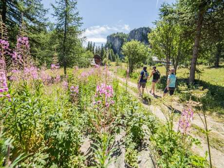 Trail N°05 - Le Col de la Pousterle