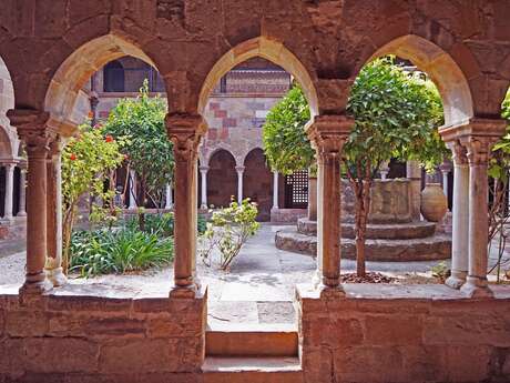 Visite guidée : Fréjus Médiévale