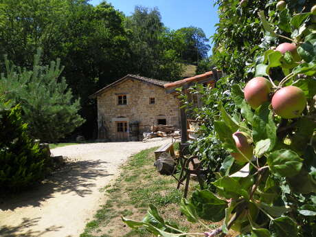 Le Moulin des Massons