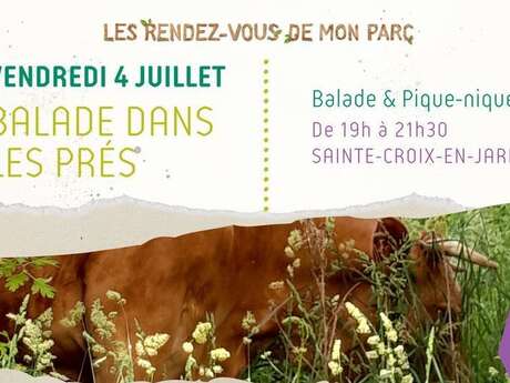 Les Rendez-vous de mon Parc "Balade dans les prés" Les Rendez-vous de mon Parc "Balade dans les prés"