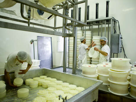 Atelier parents-enfants à la coopérative laitière Ici en Chartreuse