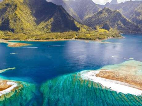 Tahiti Iti Tour & Surf - Sortie baleines