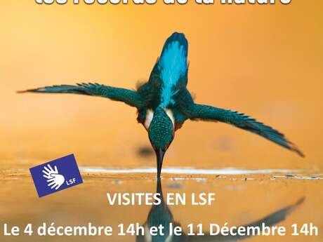 Visite en LSF de l'exposition au Muséum « Tous champions »