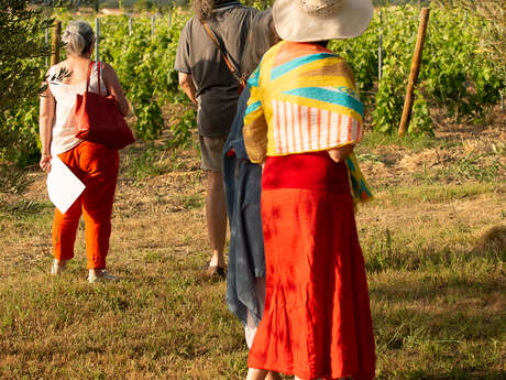 Walk through the heart of the vineyards