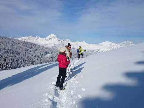 Immersion panoramique dans les alpages