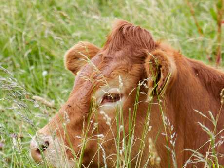 Concours Interdépartemental Limousin