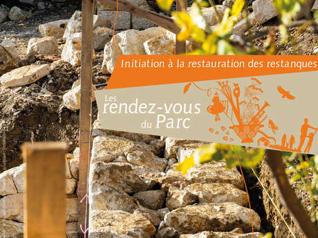 Initiation restauration de restanque en pierre sèche à Cuébris